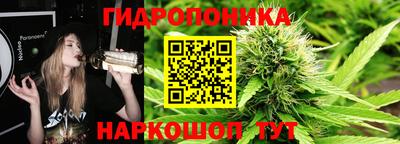 прущие грибы Свободный
