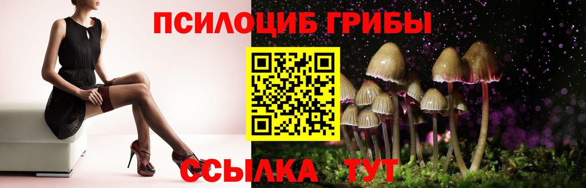 Севастополь  Псилоцибиновые грибы ЛСД  Вход с VPN  Псилоцибиновые грибы мицелий 